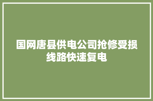 国网唐县供电公司抢修受损线路快速复电
