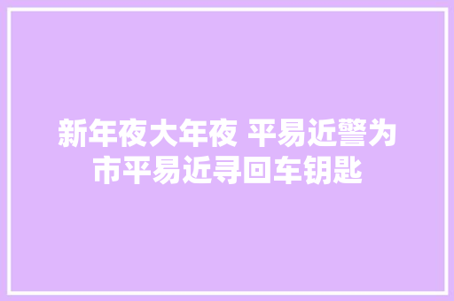 新年夜大年夜 平易近警为市平易近寻回车钥匙