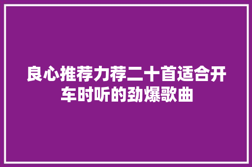 良心推荐力荐二十首适合开车时听的劲爆歌曲