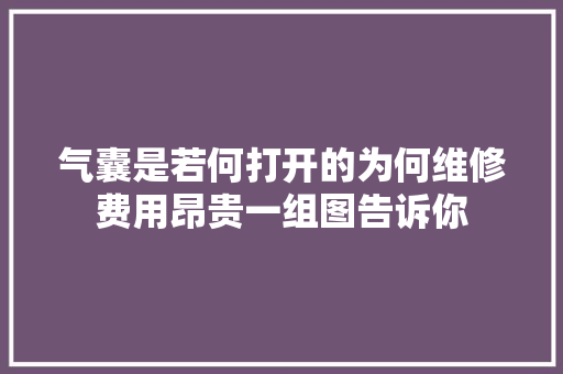 气囊是若何打开的为何维修费用昂贵一组图告诉你 汽车知识