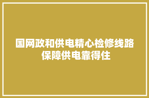 国网政和供电精心检修线路 保障供电靠得住