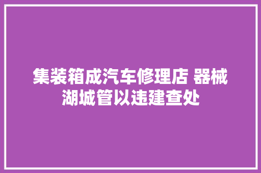 集装箱成汽车修理店 器械湖城管以违建查处