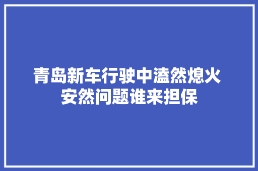 青岛新车行驶中溘然熄火 安然问题谁来担保
