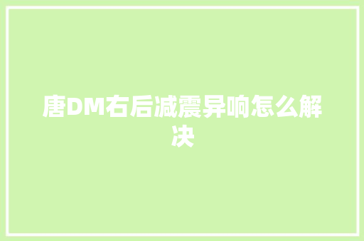 唐DM右后减震异响怎么解决 汽车知识