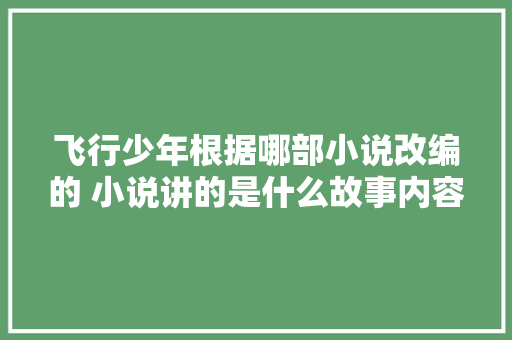 飞行少年根据哪部小说改编的 小说讲的是什么故事内容概括