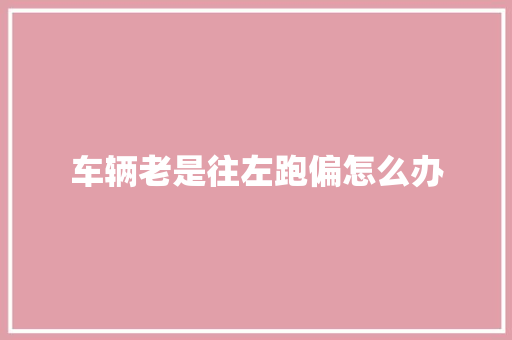 车辆老是往左跑偏怎么办