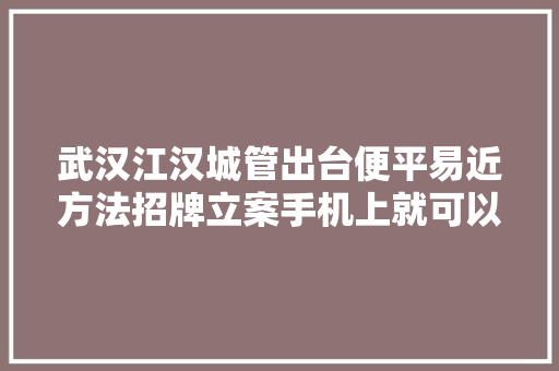 武汉江汉城管出台便平易近方法招牌立案手机上就可以办