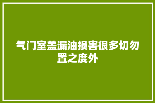 气门室盖漏油损害很多切勿置之度外
