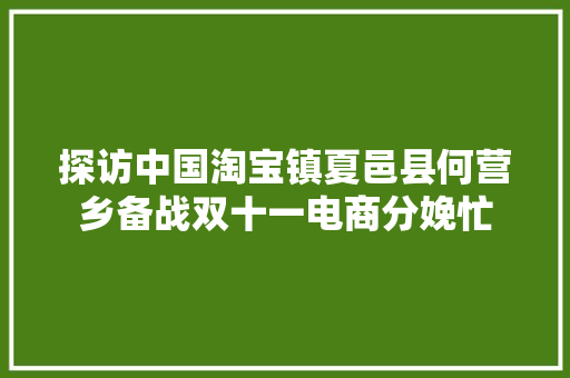 探访中国淘宝镇夏邑县何营乡备战双十一电商分娩忙