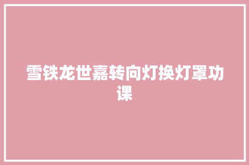 雪铁龙世嘉转向灯换灯罩功课
