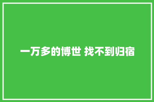 一万多的博世 找不到归宿
