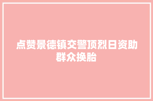 点赞景德镇交警顶烈日资助群众换胎