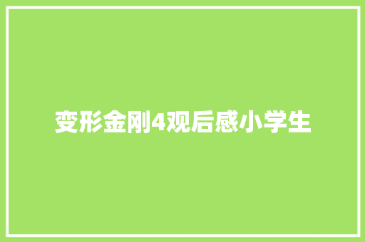 变形金刚4观后感小学生