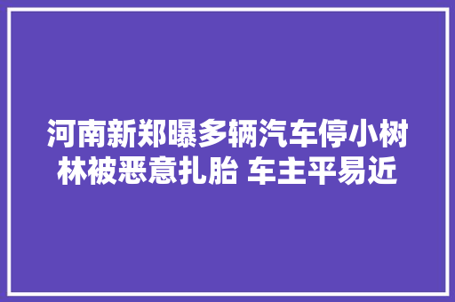 河南新郑曝多辆汽车停小树林被恶意扎胎 车主平易近警表示破案难度大年夜后期加强巡逻