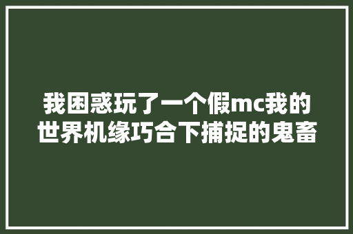 我困惑玩了一个假mc我的世界机缘巧合下捕捉的鬼畜画面
