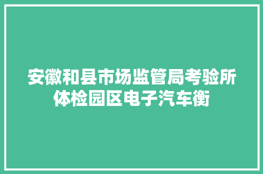 安徽和县市场监管局考验所体检园区电子汽车衡