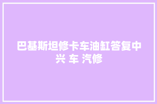 巴基斯坦修卡车油缸答复中兴 车 汽修