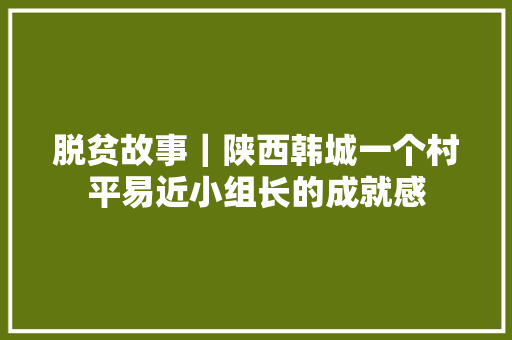 脱贫故事｜陕西韩城一个村平易近小组长的成就感