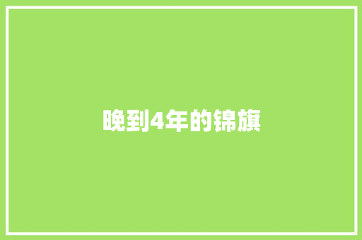 晚到4年的锦旗