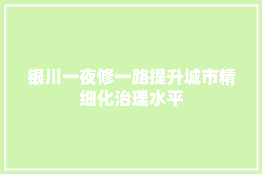 银川一夜修一路提升城市精细化治理水平