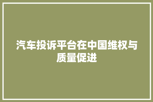 汽车投诉平台在中国维权与质量促进