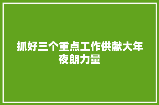 抓好三个重点工作供献大年夜朗力量