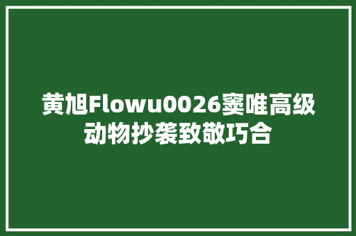 黄旭Flowu0026窦唯高级动物抄袭致敬巧合