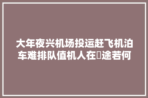 大年夜兴机场投运赶飞机泊车难排队值机人在囧途若何破