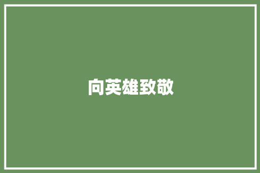 向英雄致敬