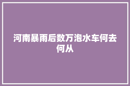 河南暴雨后数万泡水车何去何从