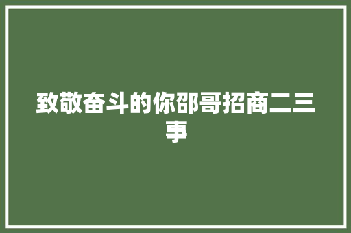 致敬奋斗的你邵哥招商二三事
