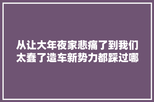从让大年夜家悲痛了到我们太蠢了造车新势力都踩过哪些坑
