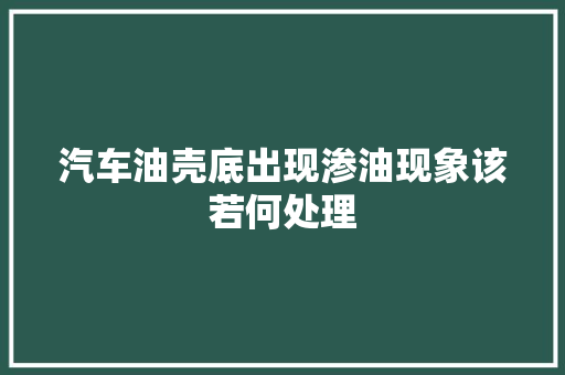 汽车油壳底出现渗油现象该若何处理