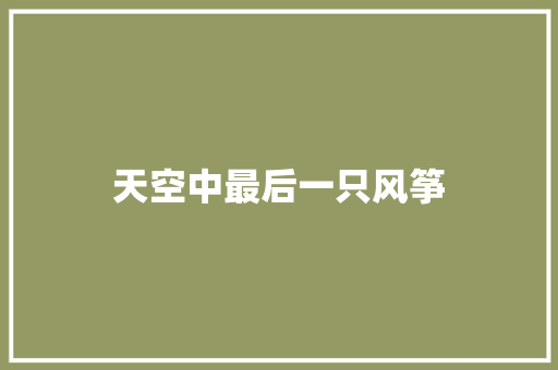 天空中最后一只风筝