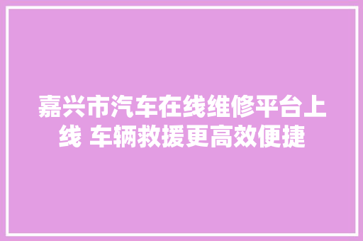 嘉兴市汽车在线维修平台上线 车辆救援更高效便捷