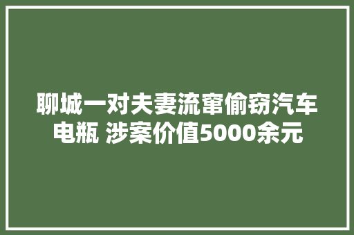 聊城一对夫妻流窜偷窃汽车电瓶 涉案价值5000余元