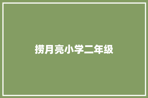 捞月亮小学二年级