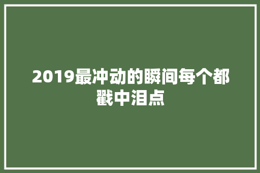 2019最冲动的瞬间每个都戳中泪点