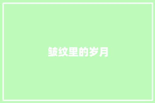 皱纹里的岁月