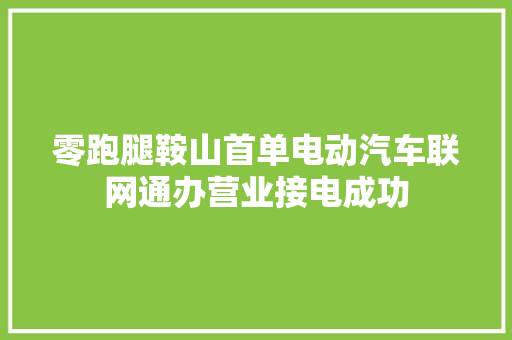 零跑腿鞍山首单电动汽车联网通办营业接电成功