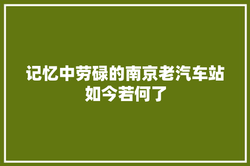 记忆中劳碌的南京老汽车站如今若何了
