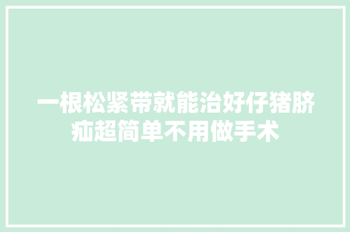 一根松紧带就能治好仔猪脐疝超简单不用做手术