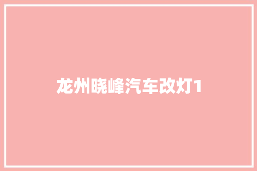龙州晓峰汽车改灯1