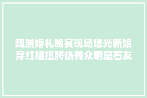 魏晨婚礼晚宴现场曝光新娘穿红裙扭胯热舞众明星石友上台狂欢