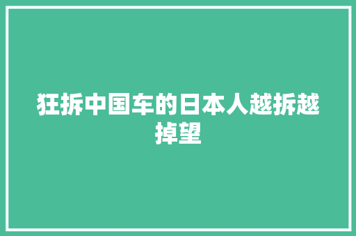 狂拆中国车的日本人越拆越掉望