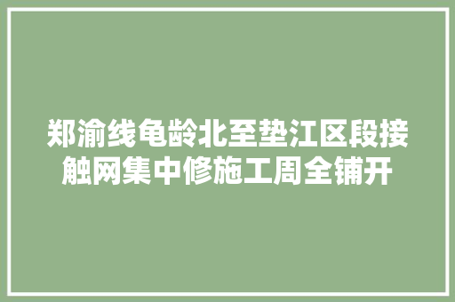郑渝线龟龄北至垫江区段接触网集中修施工周全铺开