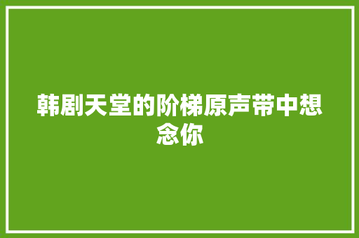 韩剧天堂的阶梯原声带中想念你