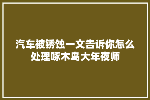 汽车被锈蚀一文告诉你怎么处理啄木鸟大年夜师