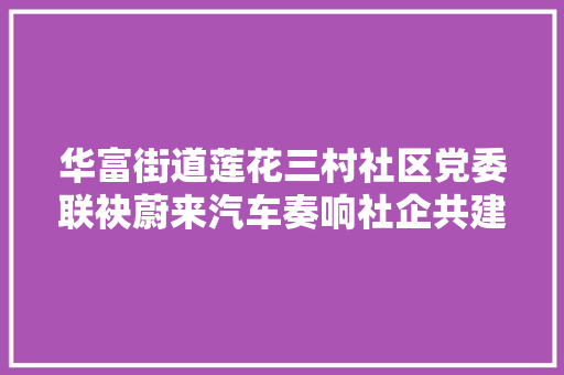 华富街道莲花三村社区党委联袂蔚来汽车奏响社企共建惠平易近做事新序曲