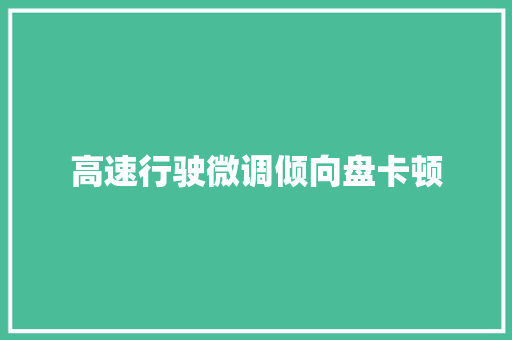 高速行驶微调倾向盘卡顿